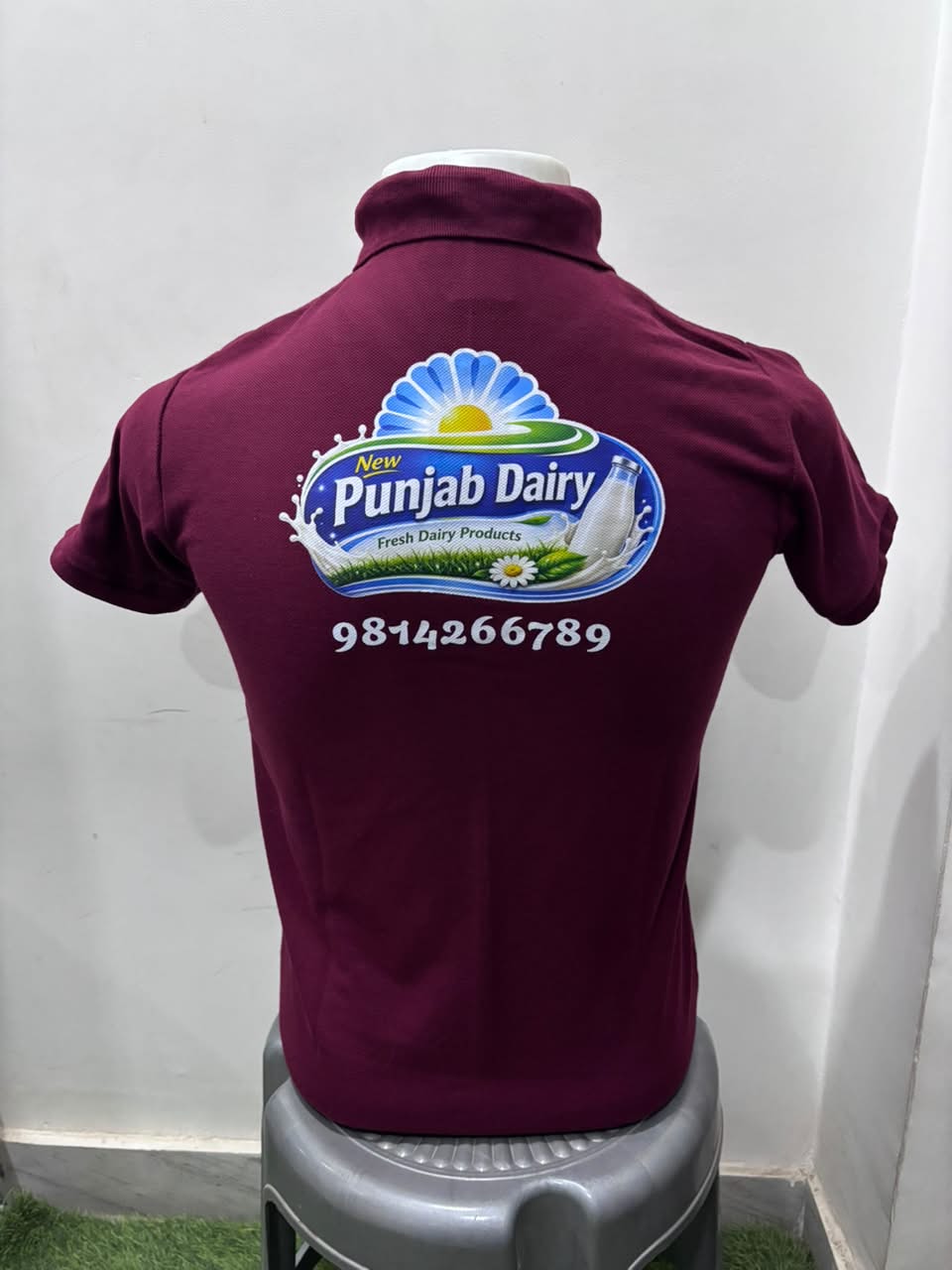 Punjab dairy